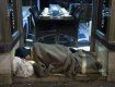 В Мишкольце от холода погибла бездомная женщина