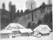 Детство И. В. Ороса прошло в живописном селе Буштыно, что в Закарпатье