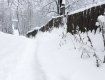 Місцеве населення самотужки бореться зі сніговими загатами