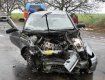 Водитель автомобиля «ВАЗ» от полученных травм погиб на месте