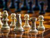 В Ужгороді відбувся шаховий турнір між серед політичних партій