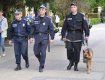 Нова патрульна поліція почала роботу в Києві на початку липня