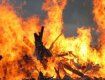 В Тарновцах спасатели тушили пожар дома