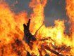 В селе Лазещина сгорели сено и крутая иномарка