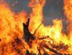 В Ясиня пенсионерка сгорела в своем доме
