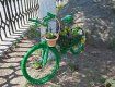 Ужгород объявил себя городом зеленых велосипедов