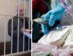 В Закарпатье прокуратура раскрыла преступление по кокаину