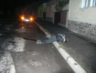 В Мукачево пьяный водитель сбил пешехода