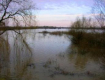 На реке Боржаве вода поднялась на 1,5 м