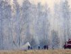 В Костромской области горит деревня Михайловица