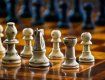 День Независимости в Ужгороде собрал шахматистов на турнир