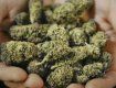 У жительки Малого Березного знайшли кілограм марихуани.