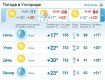 Весь день погода в Ужгороде будет ясной, без осадков