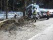 ДТП в Чехии : камион врезался в дерево на огромной скорости
