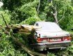 В Киеве ураган вырывал деревья с корнями и кидал их на автомобили и людей