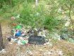 Утверждены штрафы для тех, кто мусорит в лесах Закарпатья
