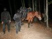 В Румынии задержали троих контрабандистов из Закарпатья