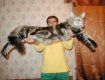 Закарпатский кот хуже собаки