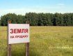 Средняя стоимость 1 кв. м земли в Закарпатской области составила 56,62 гривны
