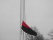 Активісти ГО "Свобода" вивісили в Ужгороді червоно-чорний прапор