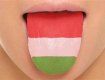 Угорська мова з’явилася у програмі вивчення усіх мовних шкіл Ужгорода і Мукачева
