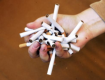 В Закарпатье у фермера нашли фальшивых сигарет на 945 000 гривен