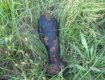 В Великоберезнянском районе местные жители нашли минометную мину