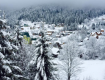 В социальных сетях появились фото Карпат, засыпанных снегом