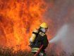 С начала года прямые материальные убытки от пожаров составили 931 тысячу гривен