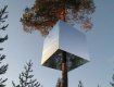 "Зеленый" туризм в Швеции на грани фантастики - отель на деревьях : Tree Hotel
