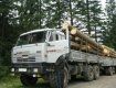 В национальном парке “Синевир” незаконно рубят лес
