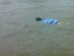 На реке Уж утонул 7-летний мальчик