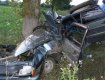 В Сумской области ВАЗ-21154 на скорости врезался в дерево