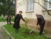 В Ужгородській спеціальній школі-інтернаті висадили дерева