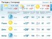 1 сентября в Ужгороде погода будет ясной до самого завершения дня