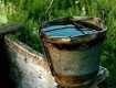 В Ужгороде питьевая вода в микрорайоне «Горяны» не соответствует нормам