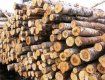 Из Украины незаконно вывозят древесину