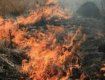 С наступлением весны жители Закарпатья активно взялись за сжигание сухотравья