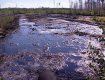 Ужанский национальный парк загрязнен дизельным топливом