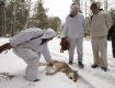 В Раховском районе браконьеры устроили охоту из незарегистрированного оружия