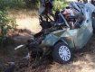 В Одесской области Opel Vectra на скорости врезался в дерево