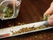 Милиция изымает марихуану у закарпатцев и дома, и на улице