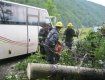 Спасатели освободили автодорогу от поваленных деревьев