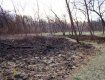 В Ужгороде от Боздошского парка остался только пепел и патыки