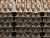 В Закарпатской области яйца подорожали на 13,1%, - не факт!