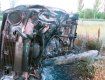 В Николаевской области водитель "Жигулей" сгорел заживо