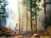 В Карпатах возможны лесные пожары