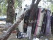 ДТП на Киевской трассе: автобус с людьми разбился об деревья