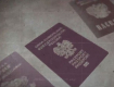 Фильм «Операция «Паспорт» это откровенное вранье о Закарпатье, - Москаль