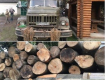 Закарпатские полицейские остановили грузовик с древесиной без документов